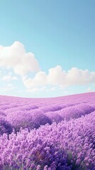 Obraz premium Tranquil lavender fields under a clear daytime sky, with rows of purple flowers stretching to the horizon. Captures the tranquility and beauty of nature