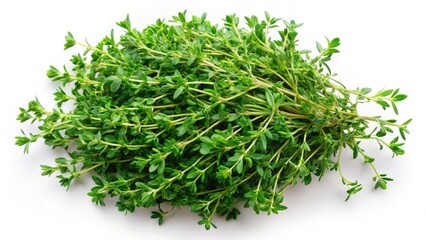 Aromatic thyme sprigs, panoramic view, isolated on white. Fresh herb, culinary photography.