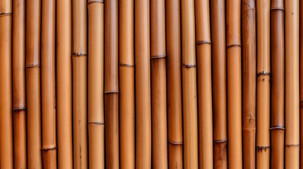 Fototapeta premium Close up of bamboo wall background mat, rows of brown bamboo, HD banner, zen, asian 