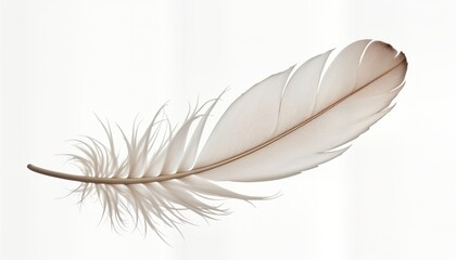 Soft white feather floats on transparent background. Light, airy. Detailed delicate structure of feather visible. Beautiful natural object. Elegant, soft. Pure white color. High quality photo.