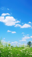 Clear blue sky nature outdoors horizon.