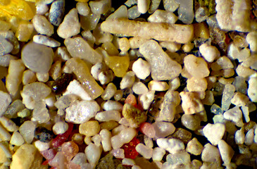Macro view of grains of sand from a Caribbean beach.