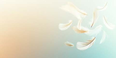Federn auf neutralen Hintergrund, Grußkarte, Werbebanner, Hintergrundmotiv