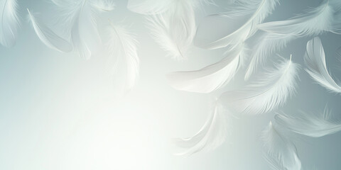 Federn auf neutralen Hintergrund, Gru&szlig;karte, Werbebanner, Hintergrundmotiv