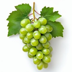 Obraz premium Fresh Juicy Green Grape Cluster Isolated on White Background