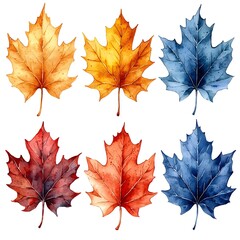 Obraz premium Vibrant Watercolor Maple Leaf Set with Warm Autumn Splashes on White Background