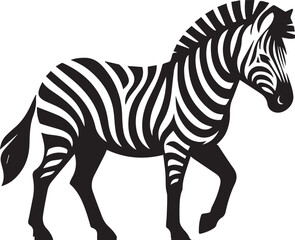 Zebra vector illustration in black and white