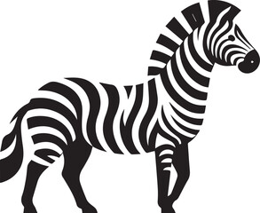 Zebra vector illustration in black and white
