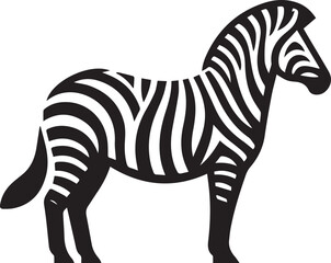 Zebra vector illustration in black and white