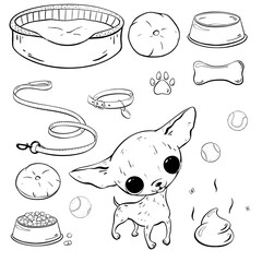 Adorable illustration featuring a cute Chihuahua along with various pet accessories for dogs. Vector sketch illustration. Pet shop