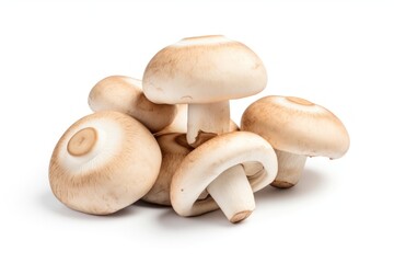 Mushroom fungus white background agaricaceae.