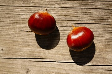 栗拾いの栗　山栗