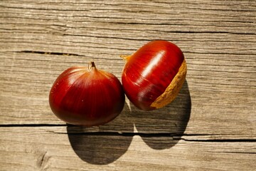 栗拾いの栗　山栗