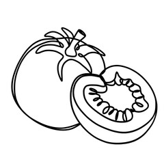 Tomato in continuous line art drawing 