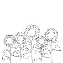 Sunflowers cloring page Line Art, Fine Line Sunflowers Hand Drawn Illustration. Fine Line Sunflowers illustration. Floral Line Art. Black and White Sunflowers Graphics