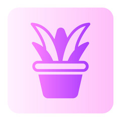 alovera gradient icon