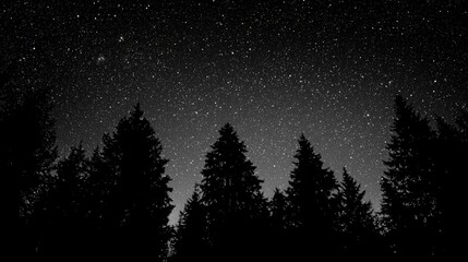 Naklejka premium Night Sky Starry Forest Trees Silhouette Dark Nature Winter