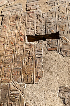 Hieroglyphs and wall paintings in Egypt, Mortuary Temple of Hatshepsut in the Deir el-Bahari necropolis of Thebes, Egypt, Luxor
