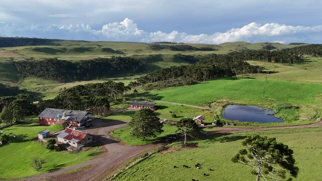 Campo Verde