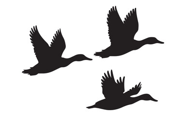 Flying duck silhouette vector on white background 