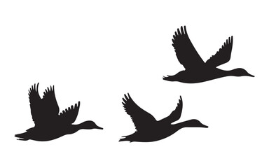  Ducks in Flight Silhouettes on a White Background
