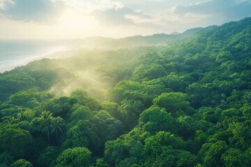 Fototapeta premium Lush green forest landscape with mist rising near the ocean during sunrise