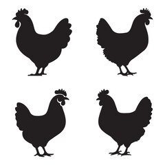 Chicken silhouette vector on white background 