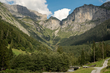 Landscape with mountain forest in Switzerland. Switzerland landscape. Mountains. Mountain forest in the Swiss Alps. Switzerland Alps.