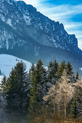 The mountain range of the Zahmer (Kaisergebirge) in Tyrol, Austria in winter. Trees covered in hoarfrost in the foreground