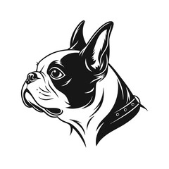 Boston Terrier outline only, dog head, vector illustration, black color, vector image