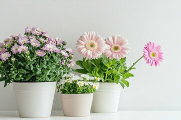 Naklejka premium Beautiful arrangement of blooming flowers in white pots on a bright background