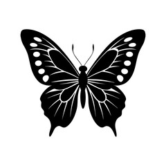 Butterfly silhouette illustration black and white