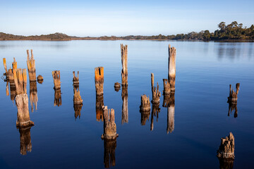 Old Pier Posts in Sea Water.