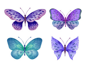 Handmade Artwork Butterfly Watercolor Artwork