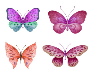 Watercolor Butterfly Designs Hand-Painted Design