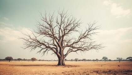 A lone, leafless tree stands amidst a vast, arid landscape under a pale sky.