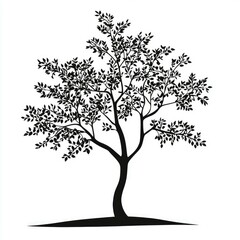Obraz premium Elegant Black Tree Silhouette: Nature Botanical Illustration, Simple Minimalist Graphic Design