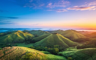 Fototapeta premium Chocolate Hills of Bohol Sunrise over rolling green hills and valleys with morning mist.
