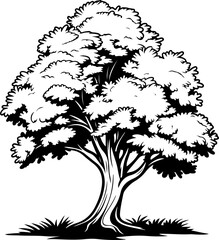 Black and White Tree Illustration