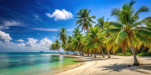 Sandy beach resort with coconut palm trees on tropical island by the ocean on a sunny day, resort
