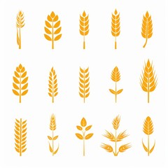 Obraz premium Wheat icon, rye ears sign, barley emblem, oats, cereals symbol, wheat ear, seeds, corns set
