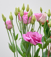 a bouquet of eustoma flowers growing in an apartment