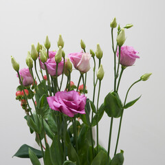 a bouquet of eustoma flowers growing in an apartment