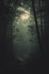 Obraz premium Enchanting forest path with sunlight streaming through lush green trees, creating a tranquil and mysterious atmosphere.