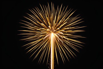 Obraz premium fireworks is lit up in the dark sky with a black background