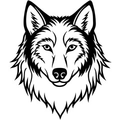 vector illustration of wolf