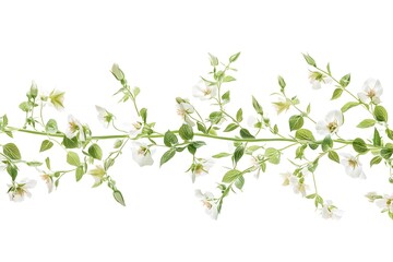White Blossoms: Branch with Delicate Flowers