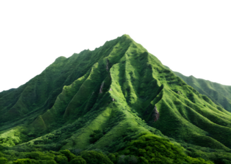 green plantation in the mountains isolated on transparent background