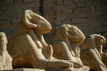 Statues of sphinxes in Karnak with rams' heads
