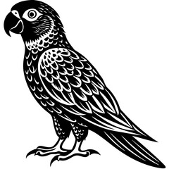 illustration of a bird